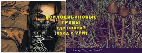 MDMA Premium VHQ Инта