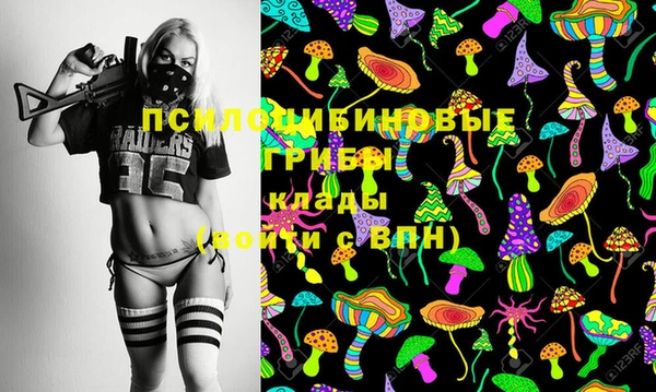 ешки Инсар