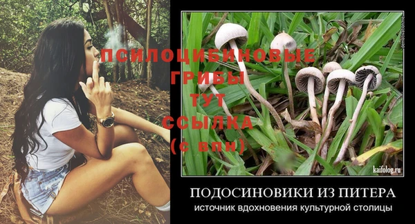 MDMA Premium VHQ Инта