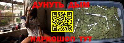 стафф Новокубанск
