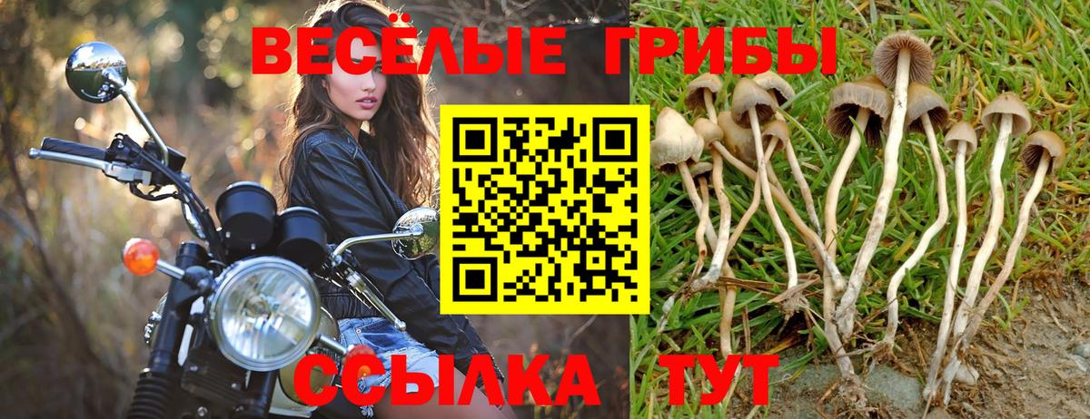 Псилоцибиновые грибы MAGIC MUSHROOMS Каменск-Шахтинский