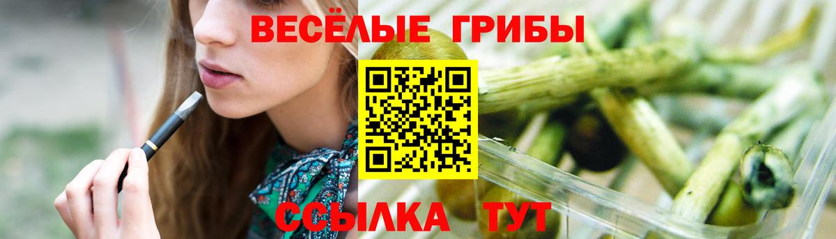 Галлюциногенные грибы GOLDEN TEACHER  купить закладку  Каменск-Шахтинский  Вход с VPN 